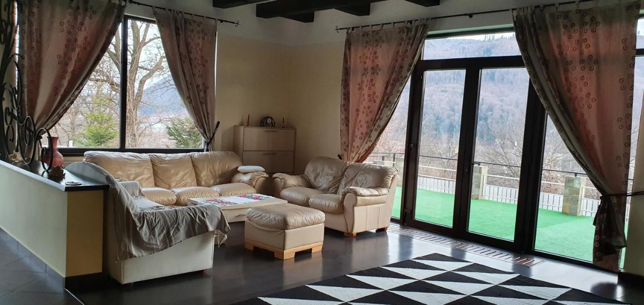Casa Yla Villa Piatra Neamţ Dış mekan fotoğraf