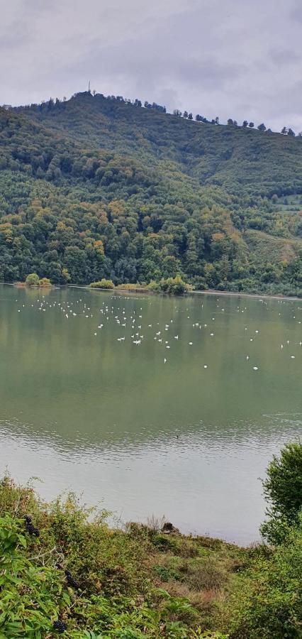 Casa Yla Villa Piatra Neamţ Dış mekan fotoğraf