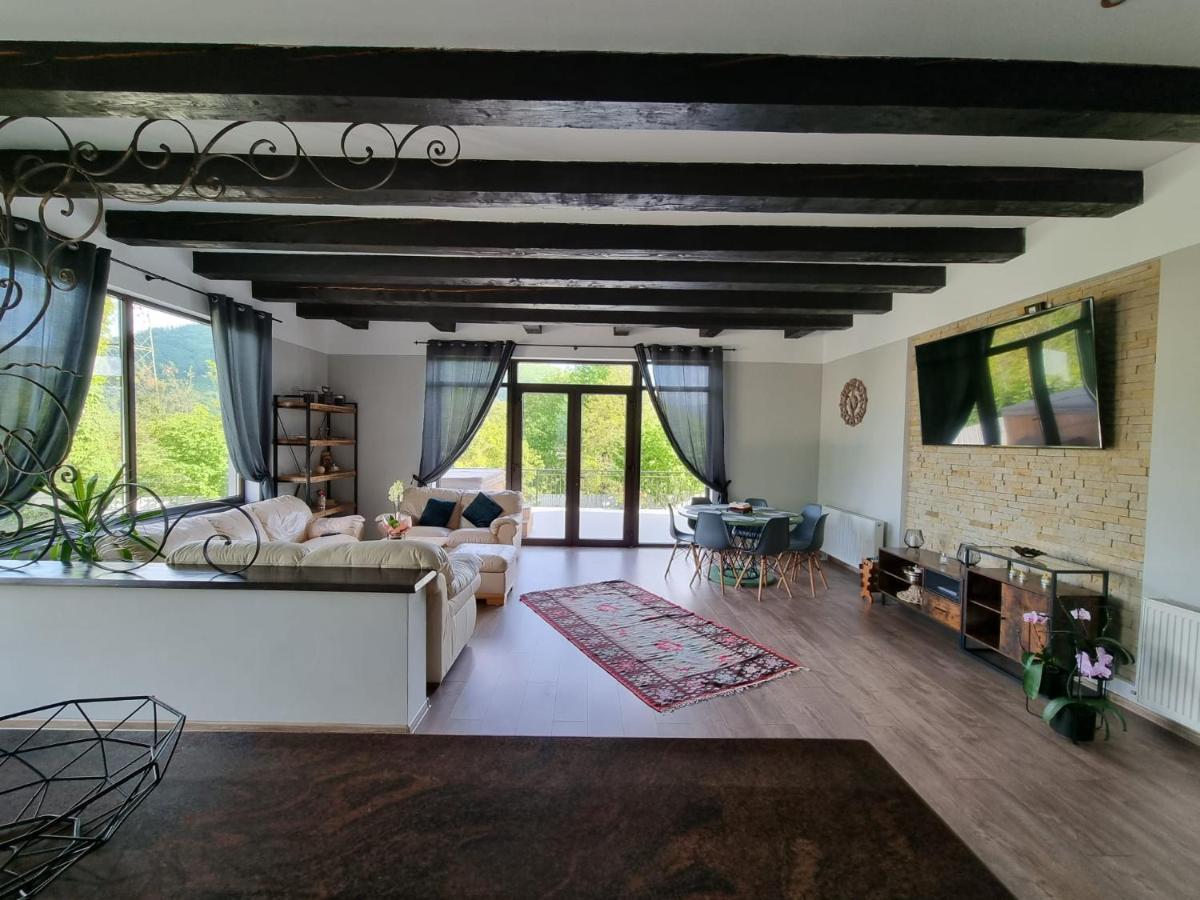 Casa Yla Villa Piatra Neamţ Dış mekan fotoğraf