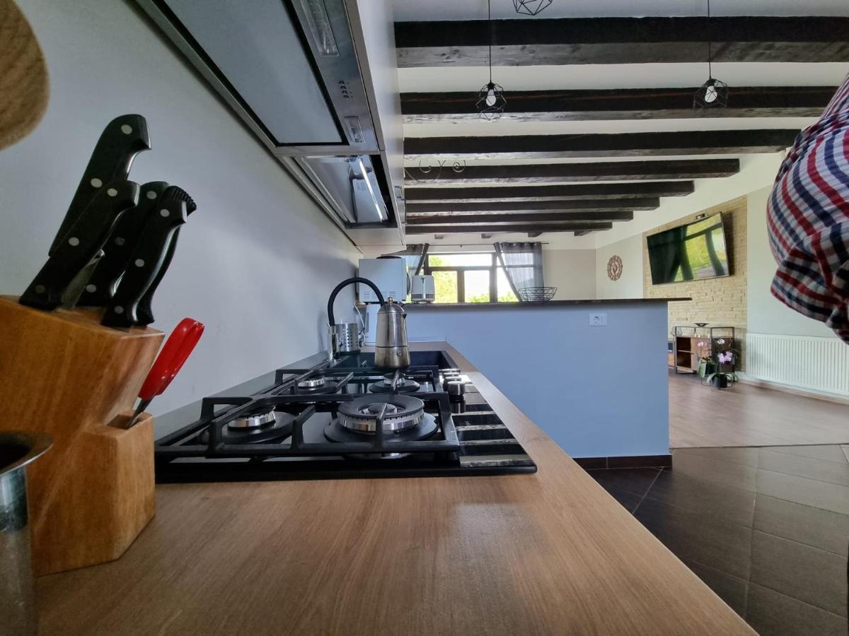 Casa Yla Villa Piatra Neamţ Dış mekan fotoğraf