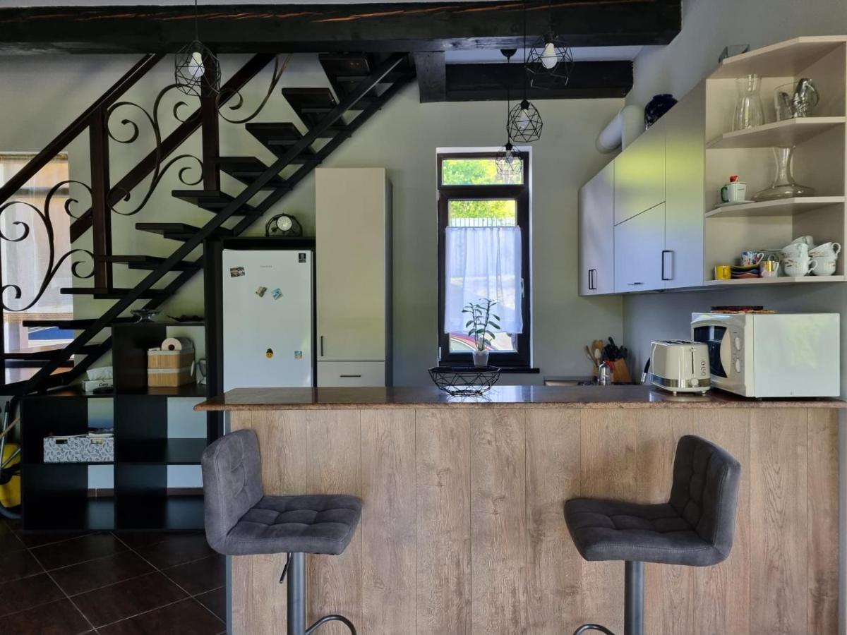 Casa Yla Villa Piatra Neamţ Dış mekan fotoğraf