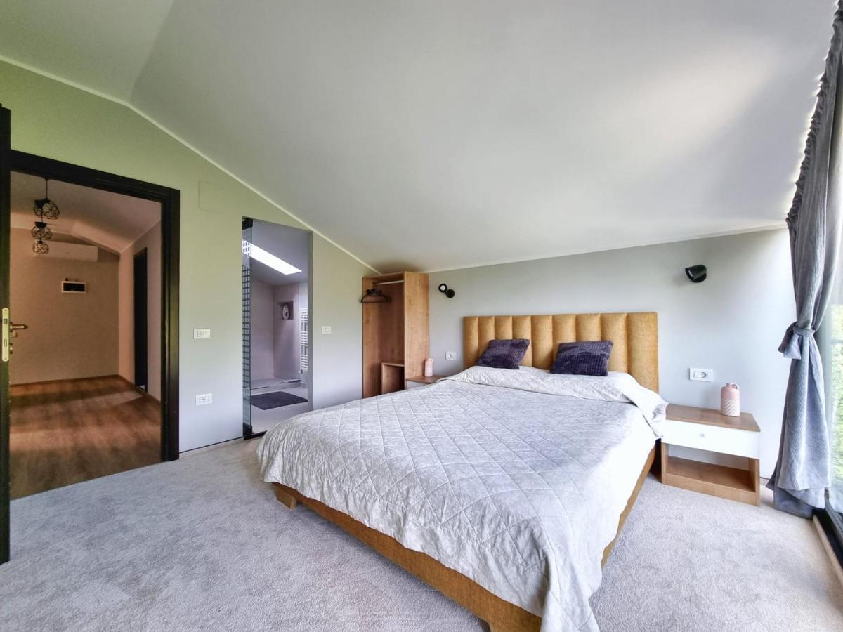 Casa Yla Villa Piatra Neamţ Dış mekan fotoğraf