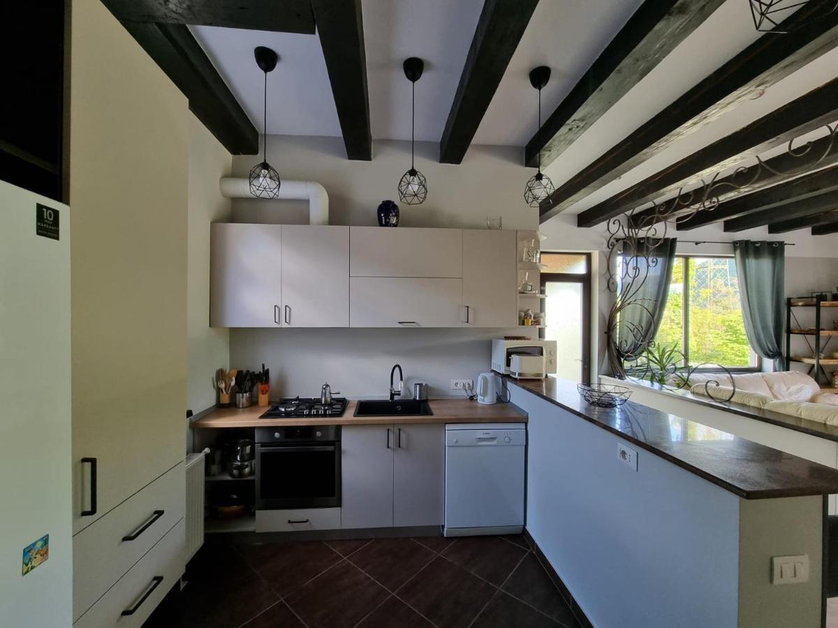 Casa Yla Villa Piatra Neamţ Dış mekan fotoğraf